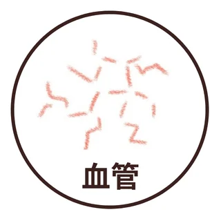 血管性の赤みのイラスト